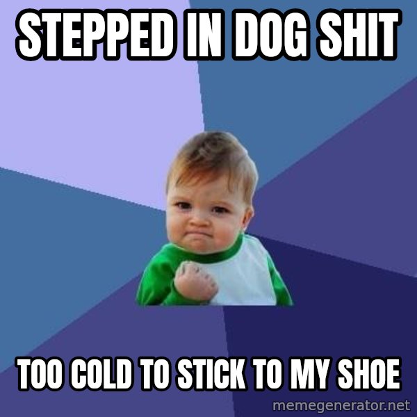 Success Kid meme: Stepped in dog shit / too cold to stick to my shoe