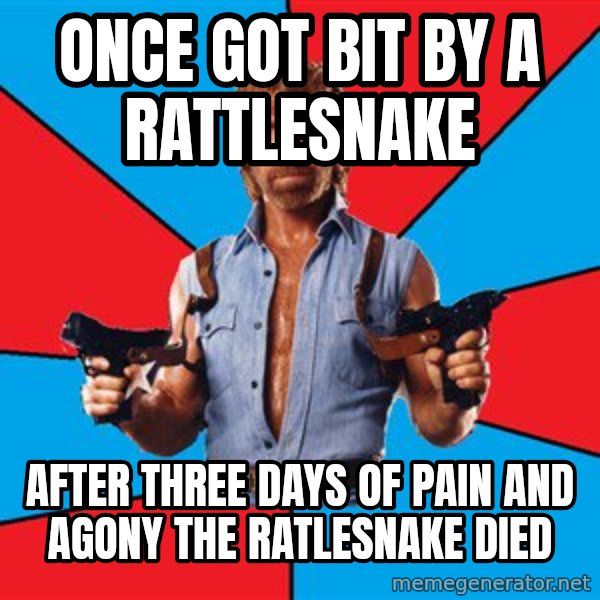 Chuck Norris  meme: once got bit by a rattlesnake / after three days of pain and agony the ratlesnake died