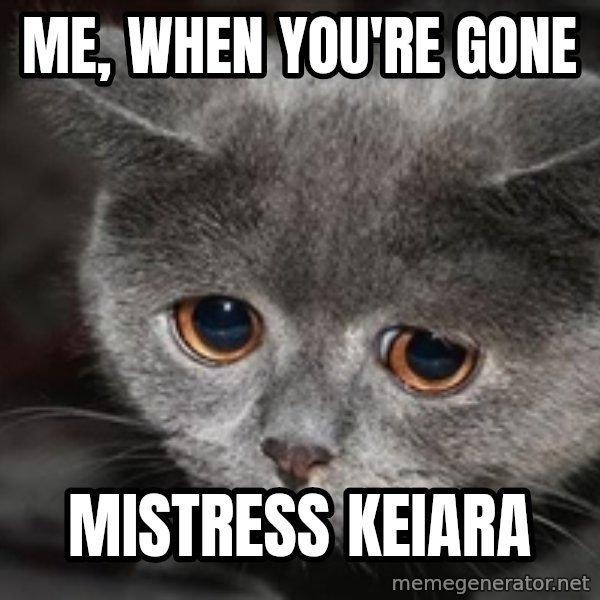 Sadcat meme: Me, when you're gone / Mistress Keiara