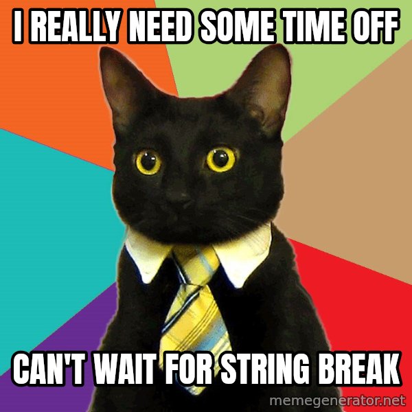 Business Cat meme: i really need some time off / can't wait for string break