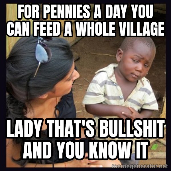 Skeptical third-world kid meme: for pennies a day you can feed a whole village / lady that's bullshit and you know it