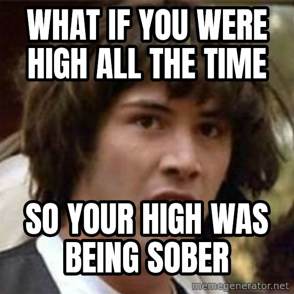 what if meme meme: what if you were high all the time / so your high was being sober