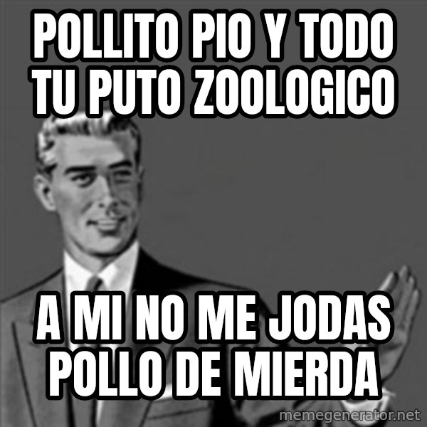 Correction Guy meme: POLLITO PIO Y TODO TU PUTO ZOOLOGICO / A MI NO ME JODAS POLLO DE MIERDA