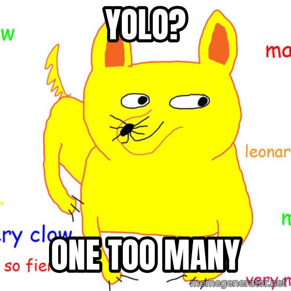 Grumpy Cat  meme: YOLO? / One too many