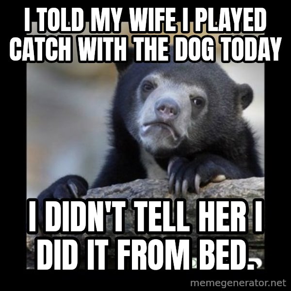sad bear meme: i told my wife i played catch with the dog today / i didn't tell her i did it from bed.
