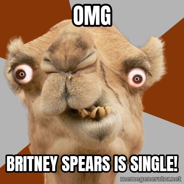Crazy Camel lol meme: omg / Britney spears is single!