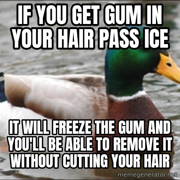 Actual Advice Mallard 1 meme: IF YOU GET GUM IN YOUR HAIR PASS ICE / it will freeze the gum and you'll be able to remove it without cutting your hair
