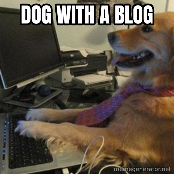 I have no idea what I'm doing - Dog with Tie meme: DOG WITH A BLOG