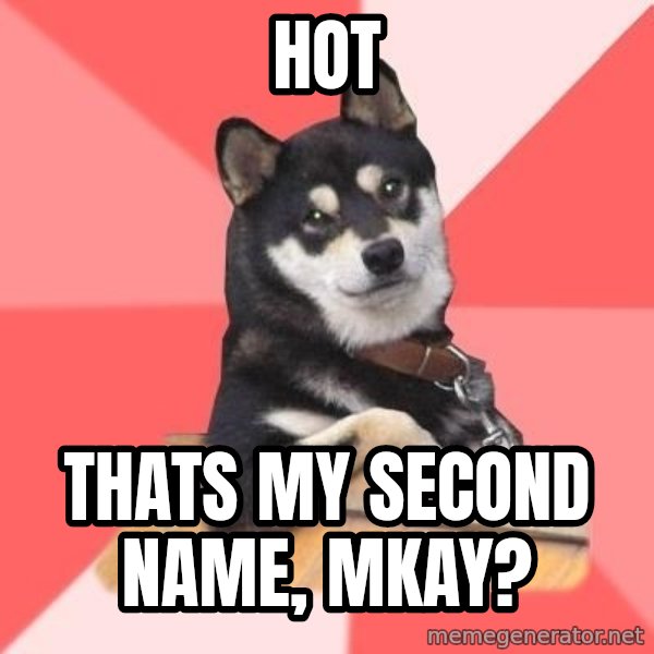 Cool Dog meme: HOT / Thats my  second name, mkay?