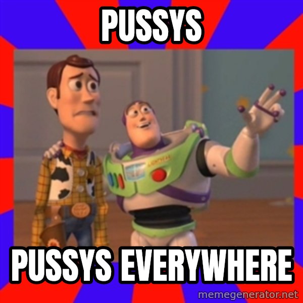 X, X Everywhere  meme: PUSSYS / PUSSYS EVERYWHERE