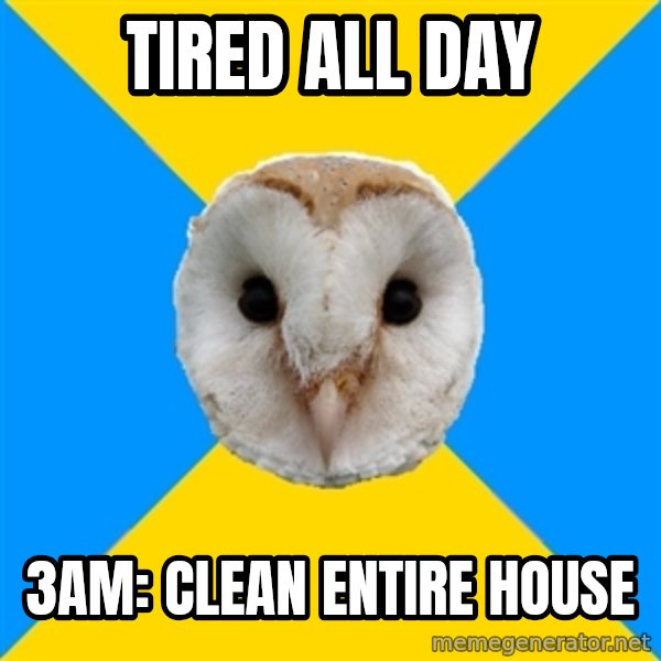 Bipolar Owl meme: TIred all day / 3am: CLean entire house