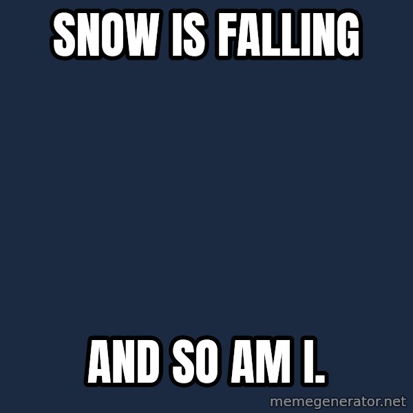 Chronic Illness Cat meme: Snow is falling / and so am I.