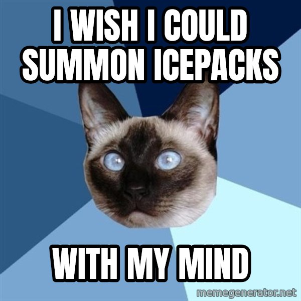 Chronic Illness Cat meme: I wish I could summon icepacks / with my mind