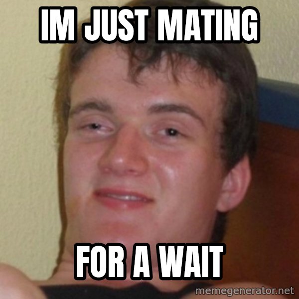 Stoner Guy meme: im just mating / for a wait