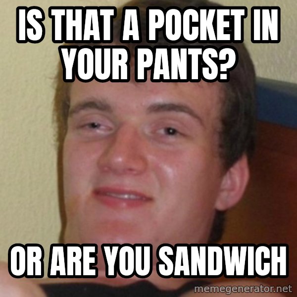 Stoner Guy meme: is that a pocket in your pants? / or are you sandwich