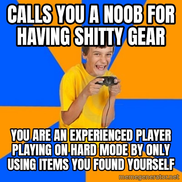 Annoying Gamer Kid meme: calls you a noob for having shitty gear / you are an experienced player playing on hard mode by only using items you found yourself