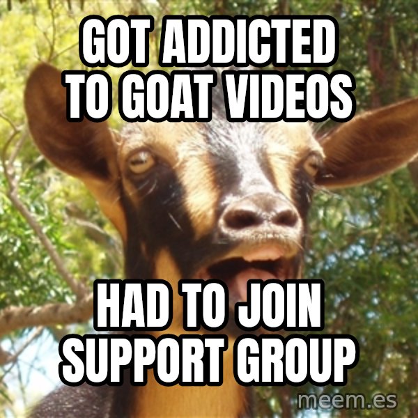 Illogical Goat meme: got addicted to goat videos / had to join support group