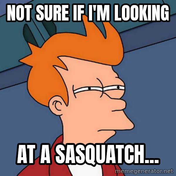 Futurama Fry meme: Not sure if i'm looking / at a sasquatch...