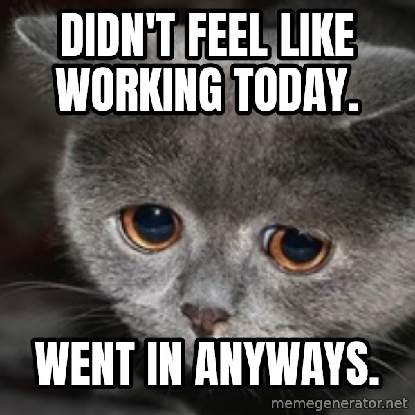 Sadcat meme: Didn't feel like working today. / went in anyways.