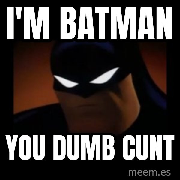 Disapproving Batman meme: I'm batman / you dumb cunt