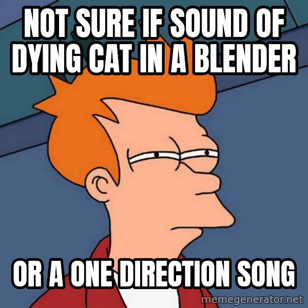 Futurama Fry meme: Not sure if sound of dying cat in a blender / or a one direction song
