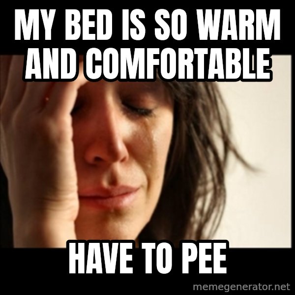 First World Problems meme: my bed is so warm and comfortable / have to pee