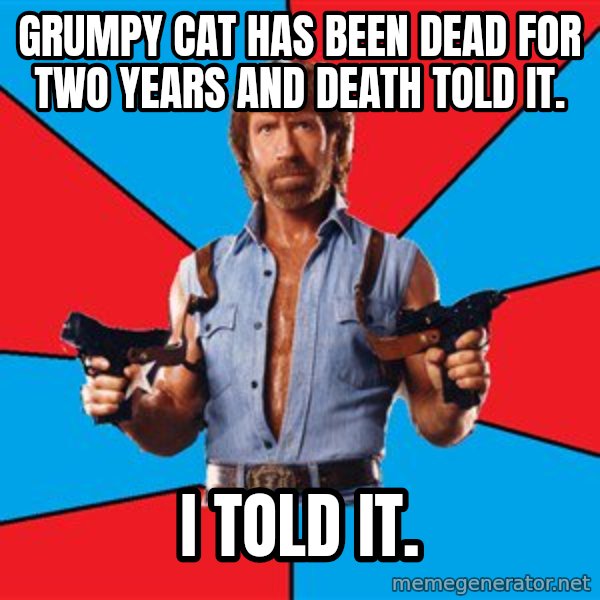 Chuck Norris  meme: GRUMPY CAT HAS BEEN DEAD FOR TWO YEARS AND DEATH TOLD IT. / I TOLD IT.