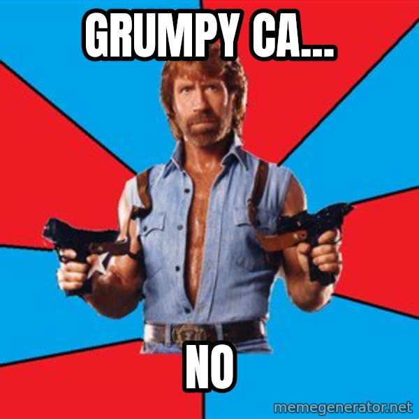 Chuck Norris  meme: GRUMPY CA... / NO