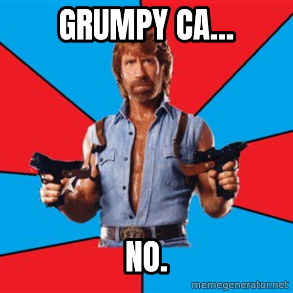Chuck Norris  meme: GRUMPY CA... / NO.