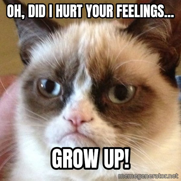 Angry Cat Meme meme: Oh, Did i hurt your feelings... / GROW UP!