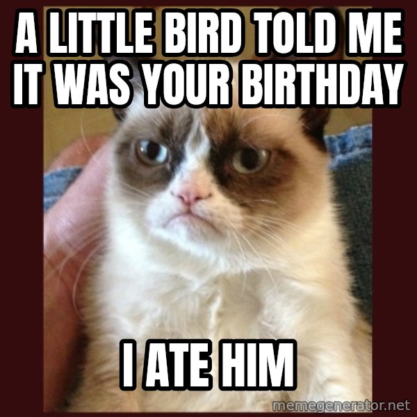 Tard the Grumpy Cat meme: A little bird told me it was your birthday / I ate him