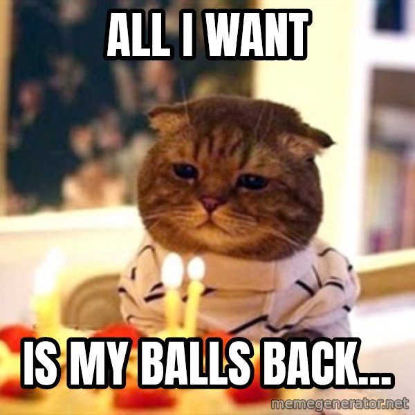 Birthday Cat meme: ALL I WANT / IS MY BALLS BACK...