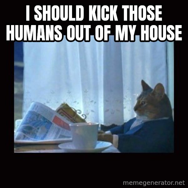 i should buy a boat cat meme: I should kick those humans out of my house