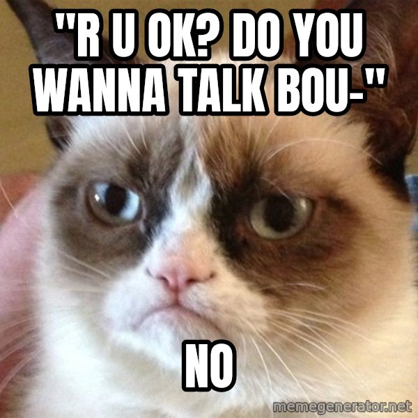 Angry Cat Meme meme: "r U Ok? do you wanna Talk Bou-" / NO