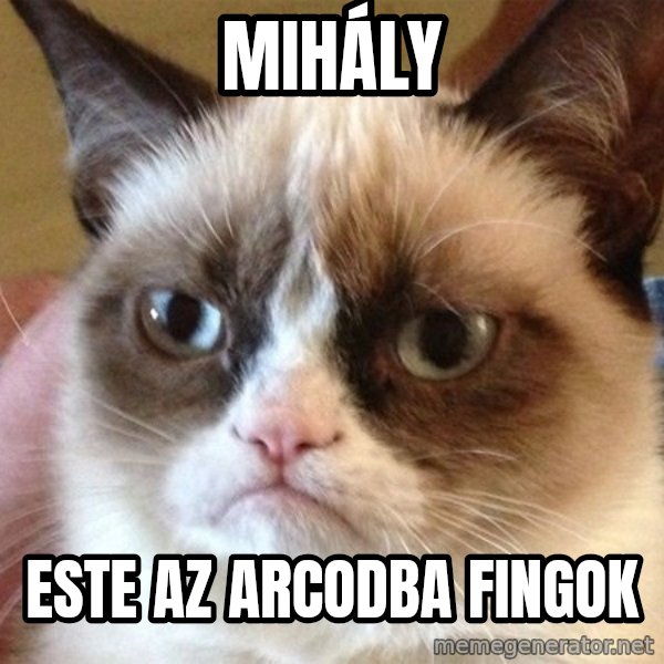 Angry Cat Meme meme: MIHÁLY / ESTE AZ ARCODBA FINGOK