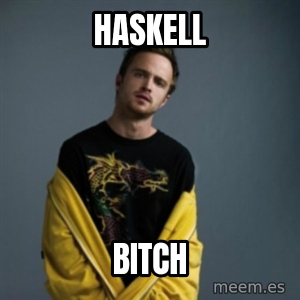 Jesse Pinkman meme: Haskell / Bitch