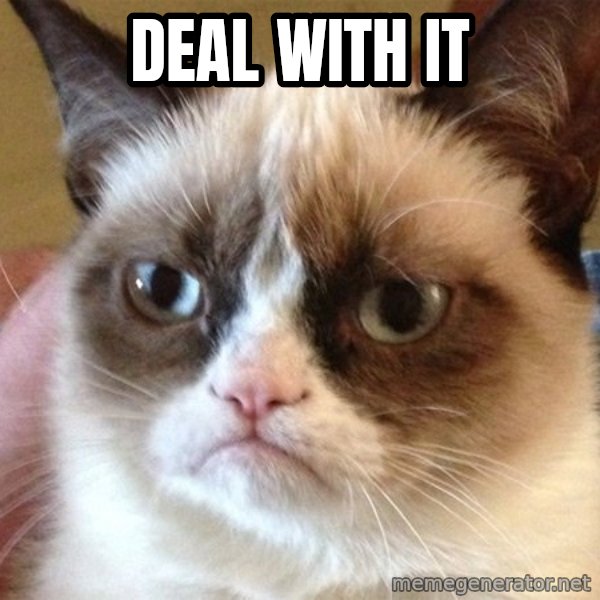 Angry Cat Meme meme: deal with it