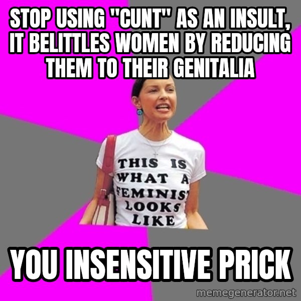 Feminist Cunt meme: sTOP USING "CUNT" AS AN INSULT, IT BELITTLES WOMEN BY REDUCING THEM TO THEIR GENITALIA / YOU INSENSITIVE PRICK