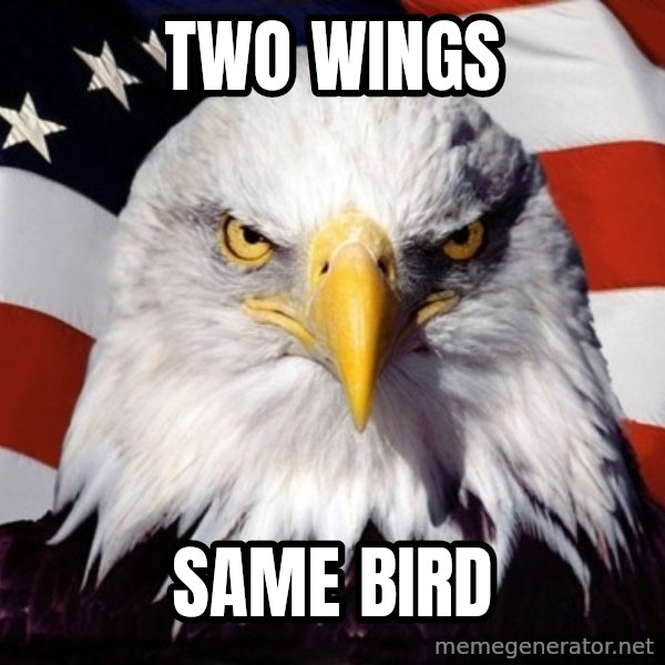 American Pride Eagle meme: two wings / same bird