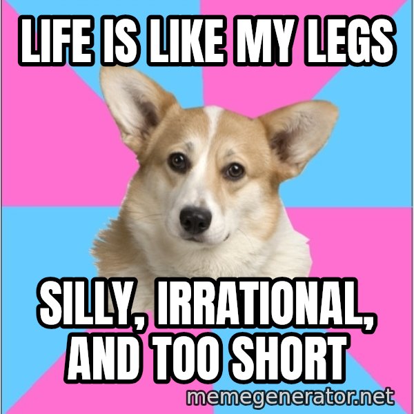 Critical Feminist Corgi meme: Life Is Like my legs / silly, irrational, and too short