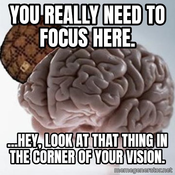 Scumbag Brain meme: You really need to focus here. / ...Hey, look at that thing in the corner of your vision.