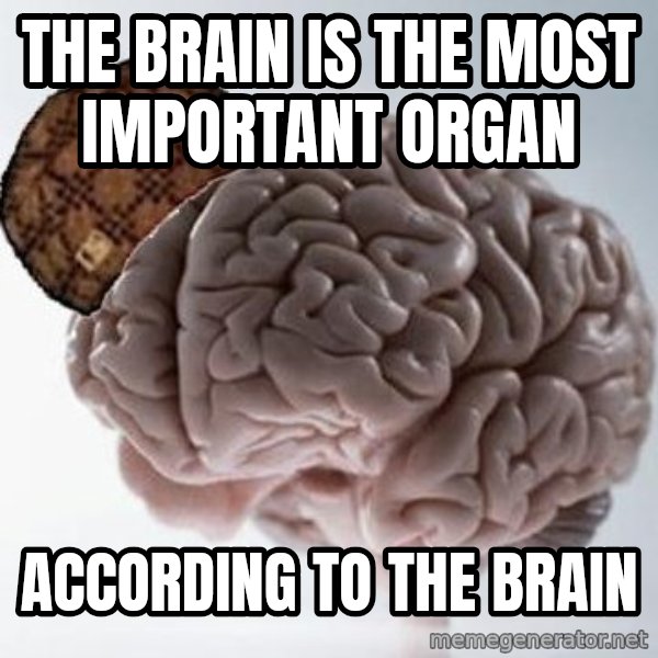 Scumbag Brain meme: The brain is the most important organ / according to the brain