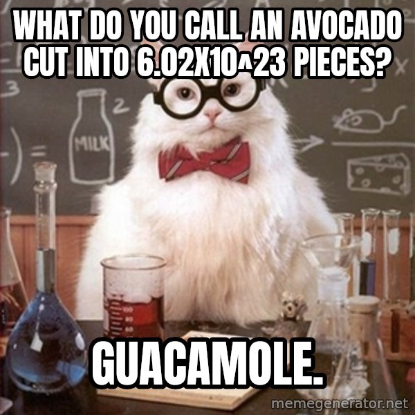 Science Cat meme: What do you Call an avocado CUT into 6.02x10^23 pieces? / GUACAMOLE.