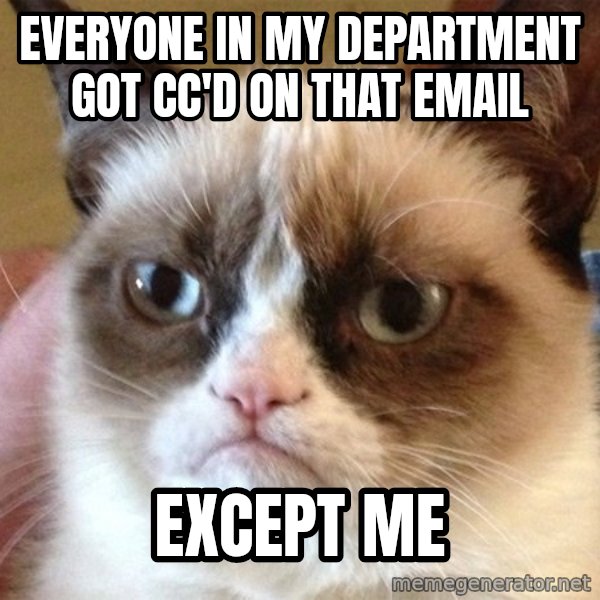 Angry Cat Meme meme: everyone in my department got cc'd on that email / except me