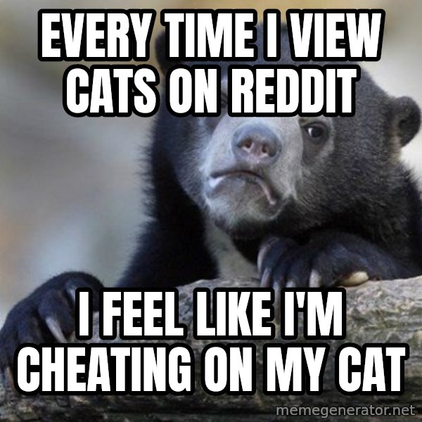 Confession Bear meme: every time i view cats on reddit / i feel like i'm cheating on my cat