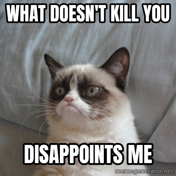 Grumpy cat good meme: What doesn't kill you / disappoints me