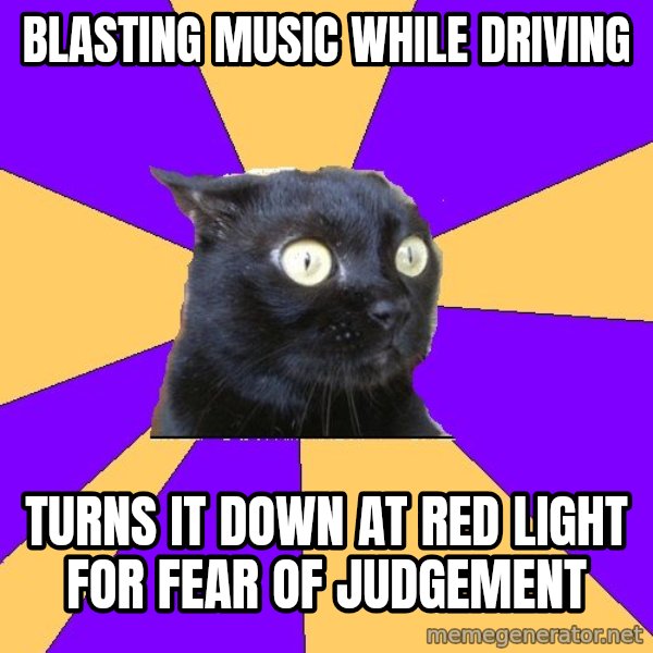 Anxiety Cat meme: blasting music while driving / turns it down at red light for fear of judgement