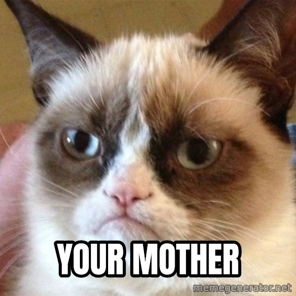 Angry Cat Meme meme: Your mother