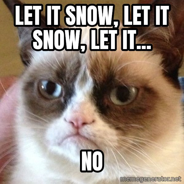 Angry Cat Meme meme: Let it snow, let it snow, let it... / NO