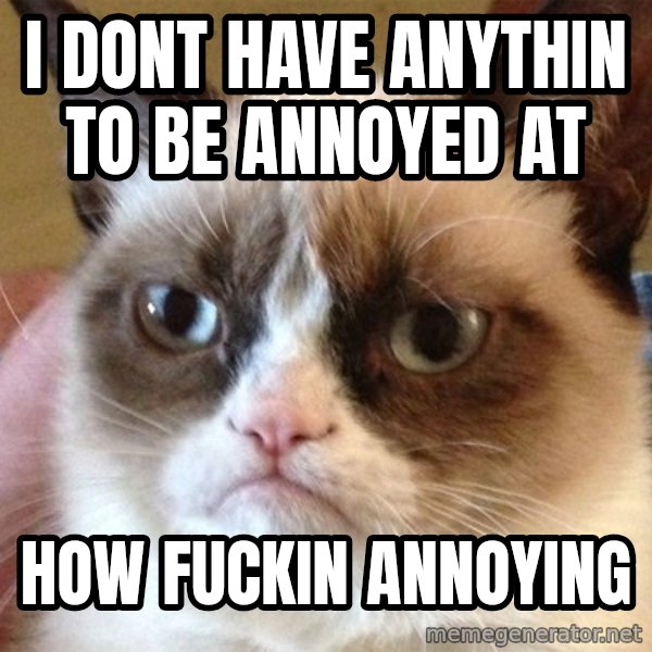 Angry Cat Meme meme: I DONT HAVE ANYTHIN TO BE ANNOYED AT / HOW FUCKIN ANNOYING